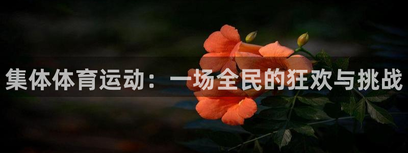 3377体育官方正版app官方:集体体育运动:一场全民的狂欢